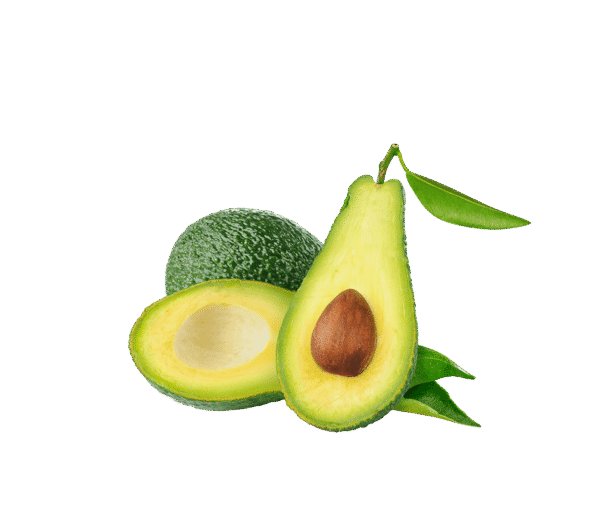 h3-product1 h3-product1