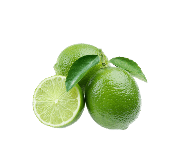 h3-product12 h3-product12