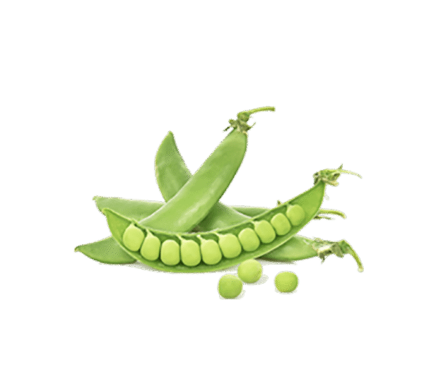 h3-product7 h3-product7